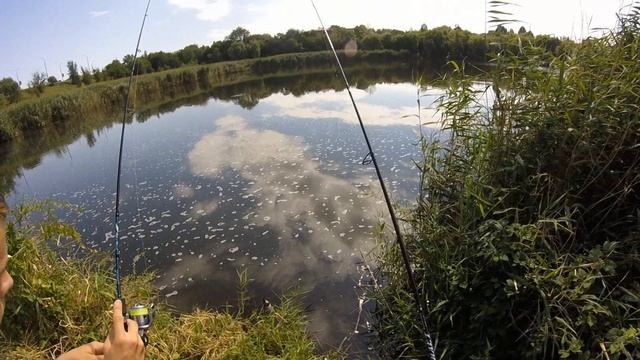 Донецкая Рыбалка Кальмиус (Конкурс) смотреть онлайн
