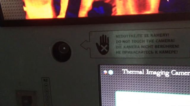 Как видят змеи. How Do Snakes See