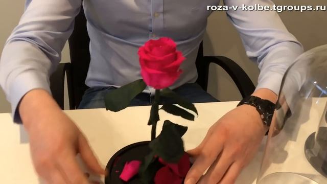 Вечная роза в колбе - обзор смотреть онлайн