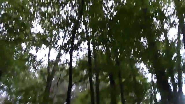 Отдых на даче Дайте мне ружье смотреть онлайн