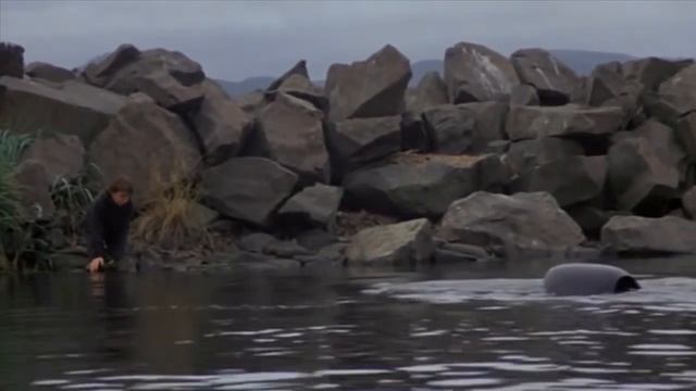 Will You Be There Освободите Вилли  Free Willy