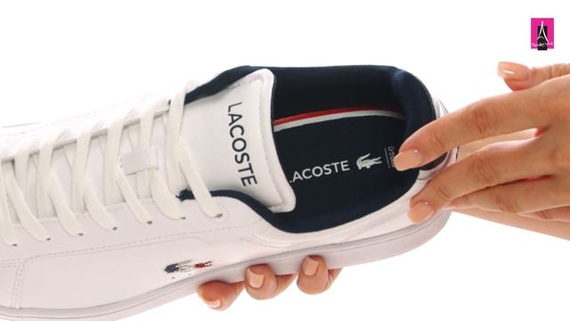 3717966 Видеообзор I Мужские кеды LACOSTE смотреть онлайн