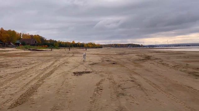 Прибрежная ЗОНА смотреть онлайн