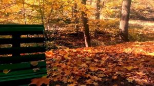 4 класс «Приют спокойствия, трудов и вдохновенья…»..
Автор : Видео уроки музыки