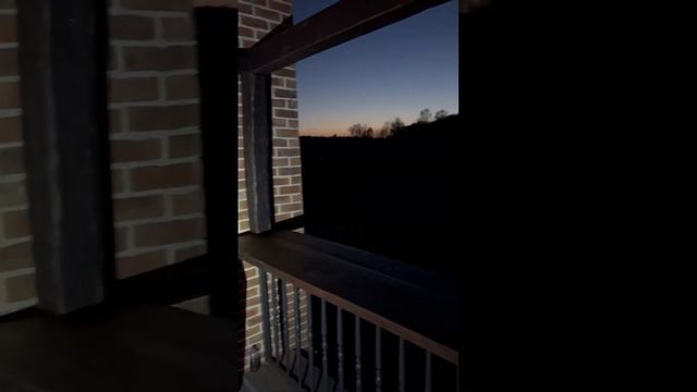 Старые дубовые балки