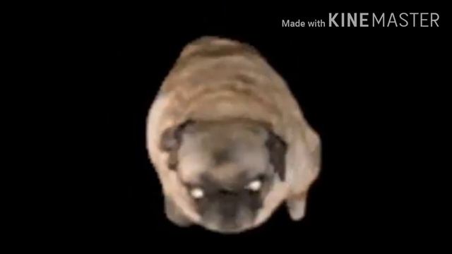 Мы русские с нами бог 😉😜 смотреть онлайн