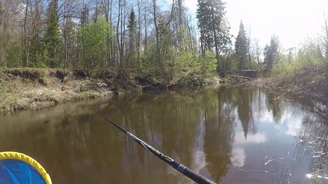 КРУТО ПОРЫБАЧИЛ! Рыбалка Весной на Малой Реке. ГОЛАВЛЬ, ПЛОТВА, ЕЛЕЦ. С Поплавком в Мае. УХА. смотреть онлайн