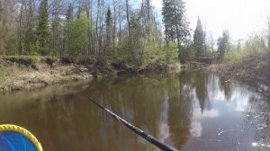 КРУТО ПОРЫБАЧИЛ! Рыбалка Весной на Малой Реке. ГОЛАВЛЬ, ПЛОТВА, ЕЛЕЦ. С  Поплавком в Мае. УХА.