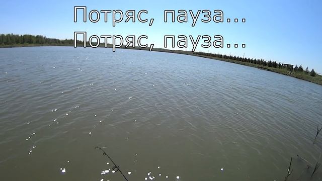 Ловля карпа и карася спиннингом на мормышку первые шаги (мормышинг) смотреть онлайн