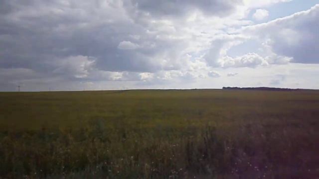 24.07.2019 г. Цветёт донник. смотреть онлайн