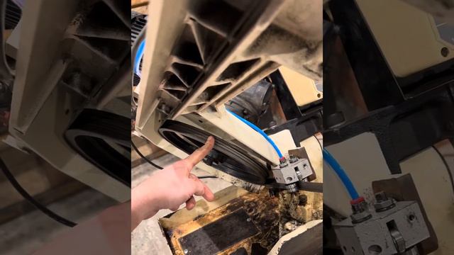 24 января 2024 г.