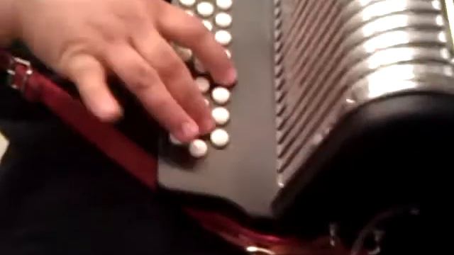 Hohner panther accordion los cachorros смотреть онлайн