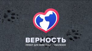Приют для животных "Верность" г. Смоленск.Помощь животным