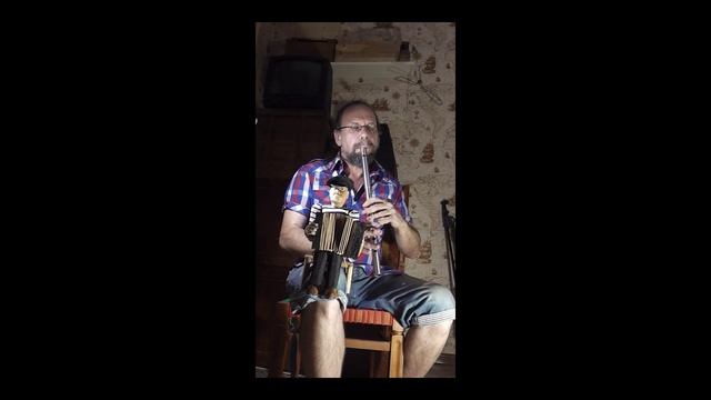 Lilting Banshee.Low Whistle#shorts