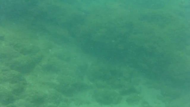 День 2. Первая попытка снимать снорклинг смотреть онлайн