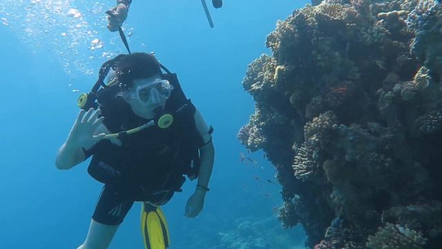 Дайвинг в Красном море смотреть онлайн