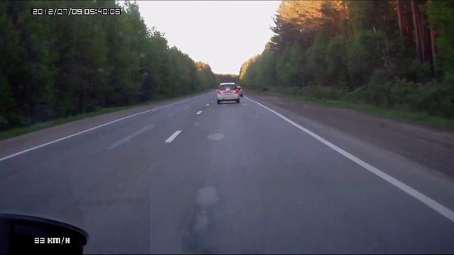 Лось перебегает дорогу перед автомобилем смотреть онлайн
