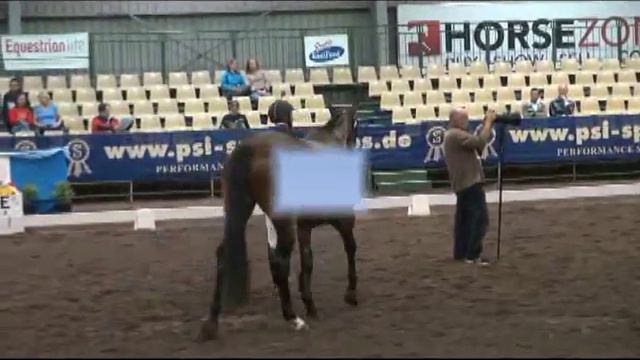 REMI FRANGELICA - Champion 4 y/o DJWTS 2013 смотреть онлайн