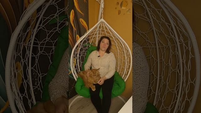 Почему услуга Бесплатна