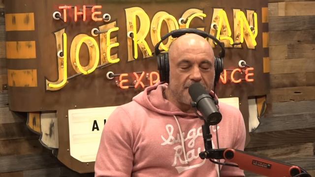 Joe Rogan: "Musk Isn't On Their Team" смотреть онлайн