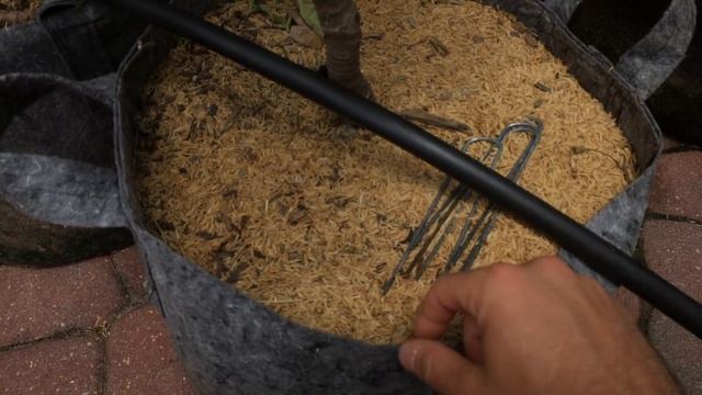 Fabric Pots & Grow Bags: My Thoughts смотреть онлайн