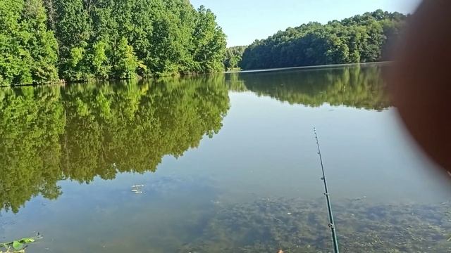 Внимание! Воха обнаружил клев карася и плотвы на ближнем водоеме. смотреть онлайн