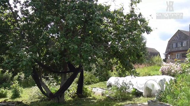 НАШ ДЕРЕВЕНСКИЙ ОГОРОД. Необычная ТЕПЛИЦА, АВТОМАТИЧЕСКИЙ полив, ВЫСОКИЕ ГРЯДКИ. ЖКВ Саморучка смотреть онлайн