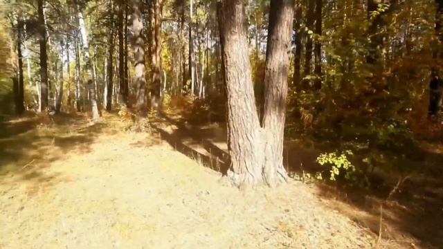 Прогулка в осеннем парке смотреть онлайн