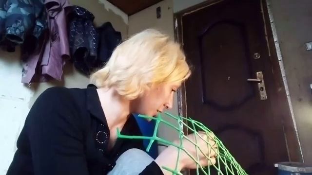Как отличить петушка от курочки. смотреть онлайн