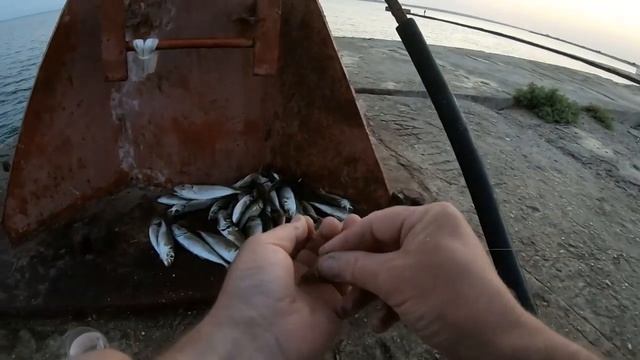 КРУПНАЯ СТАВРИДА ЗА СТАВРИДОЙ НА ПОПЛАВОК С МОРМЫШКОЙ! ТАКАЯ РЫБАЛКА БЫВАЕТ ТОЛЬКО РАЗ В ГОДУ! смотреть онлайн