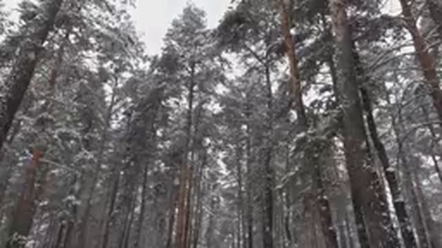 Beautiful Peaceful Music, Relaxing  Soothing Instrumental Music 4K 