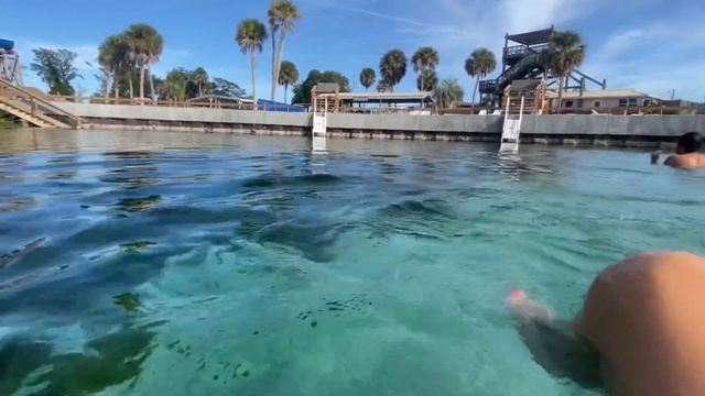 ? ЗИМА во Флориде ? температура воды +21 Weeki Wachee Springs Vanlife USA 17.12.2021 смотреть онлайн
