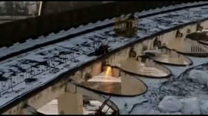 Во время сноса стадиона СКК в Петербурге рухнула крыша погиб человек (Полное видео)