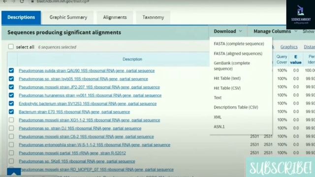 #megasoftware #phylogenetictree How to create phylogenetic tree using MEGA X смотреть онлайн