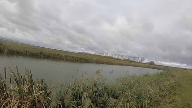 Охота на бекаса смотреть онлайн