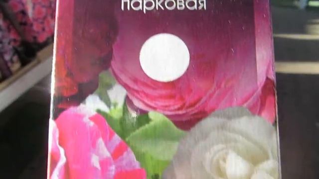 ОБИ - Розы - март 2020 г. Кутеповский питомник. смотреть онлайн