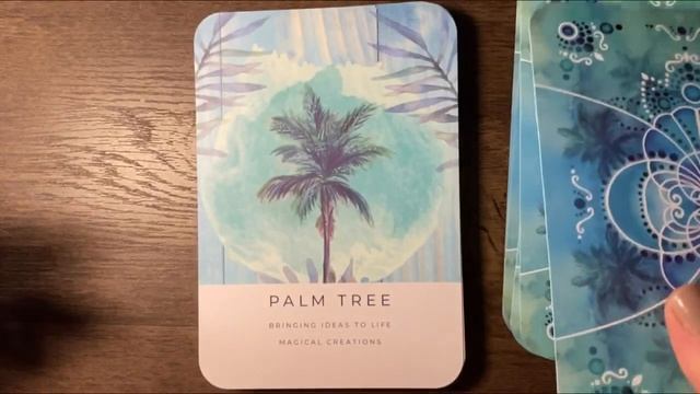Unboxing the Salt & Sea Energy Oracle | #saltandseaenergy смотреть онлайн