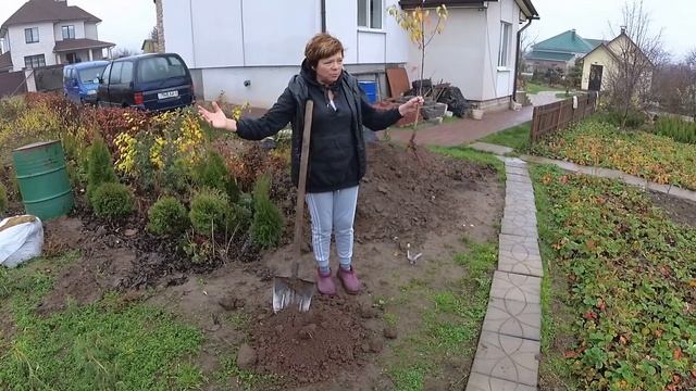 Посадка деревьев на низких, заболоченных участках. смотреть онлайн