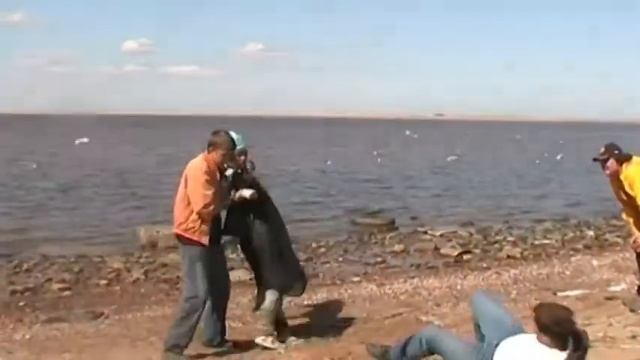 Достал уже. Did you get me. смотреть онлайн