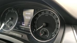 Skoda Rapid: сброс межсервисных интервалов