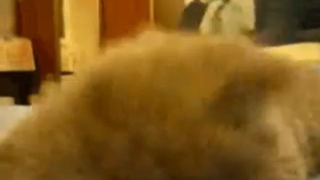 Когда пришел после работы. смотреть онлайн