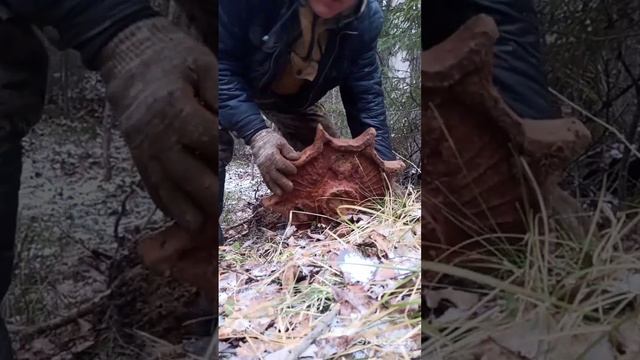 ОПЯТЬ ПОВЕЗЛО... #копметаллавлесу смотреть онлайн