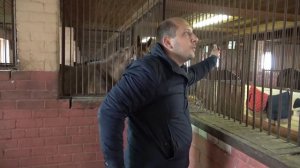 Лена ЗАПЕРЛА Толика в КОНЮШНЕ и ИЗМАЗАЛА МАШИНУ ГАВНОМ..