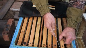 Зимовка маток  в изоляторах.  Нюансы,  двухматочная зимовка.