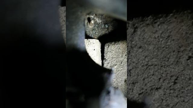 Мерседес вито 639.замена свечей накала смотреть онлайн