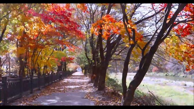 Осень осень листья пожелтели | христианская музыка | Старые христианские песни смотреть онлайн