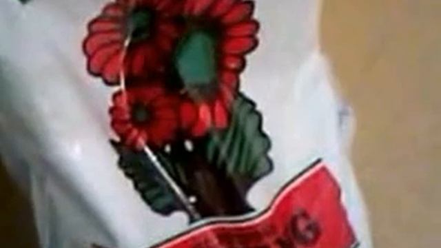 Southern Skunk clones/soil mix/flower nutes recipe смотреть онлайн
