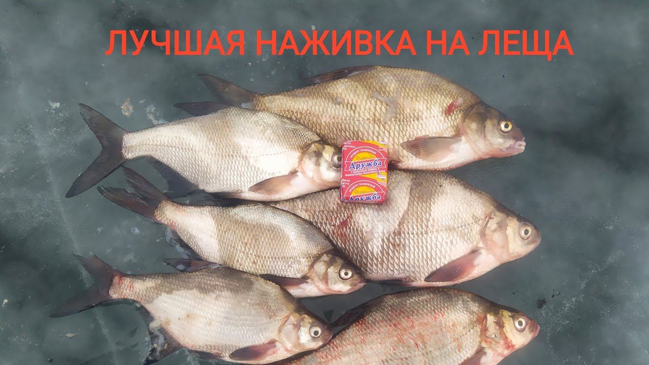 Вот это кабан!! Лучшая наживка на ЛЕЩА! Цимла-Цимлянское водохранилище. смотреть онлайн