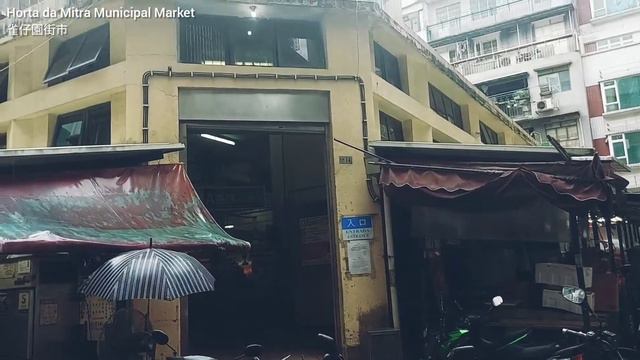 「雀仔園坊」昔日葡萄牙人打雀的地方 The story of Bairro Horta da Mitra, Macau смотреть онлайн