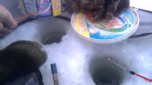 Рыбалка на Оби смотреть онлайн